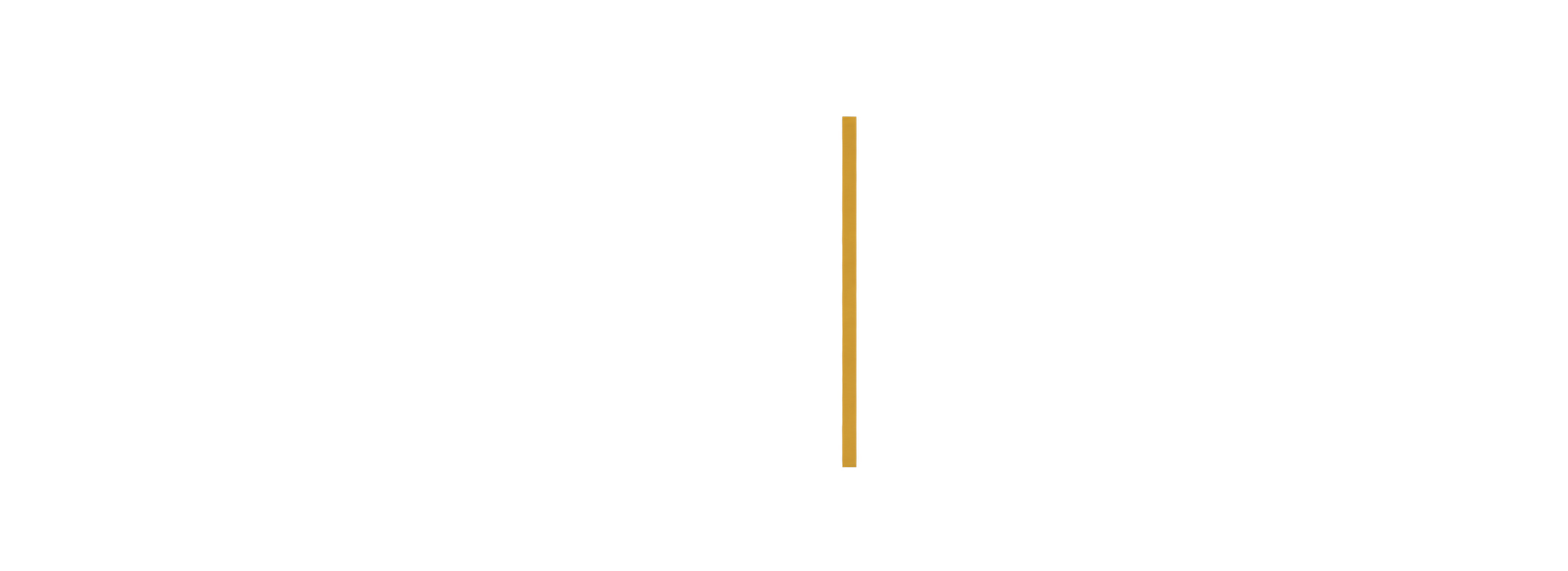 Erbil Policy Institute